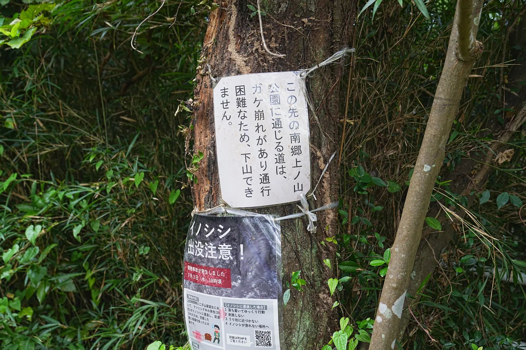 逗子/葉山、二子山ハイキング